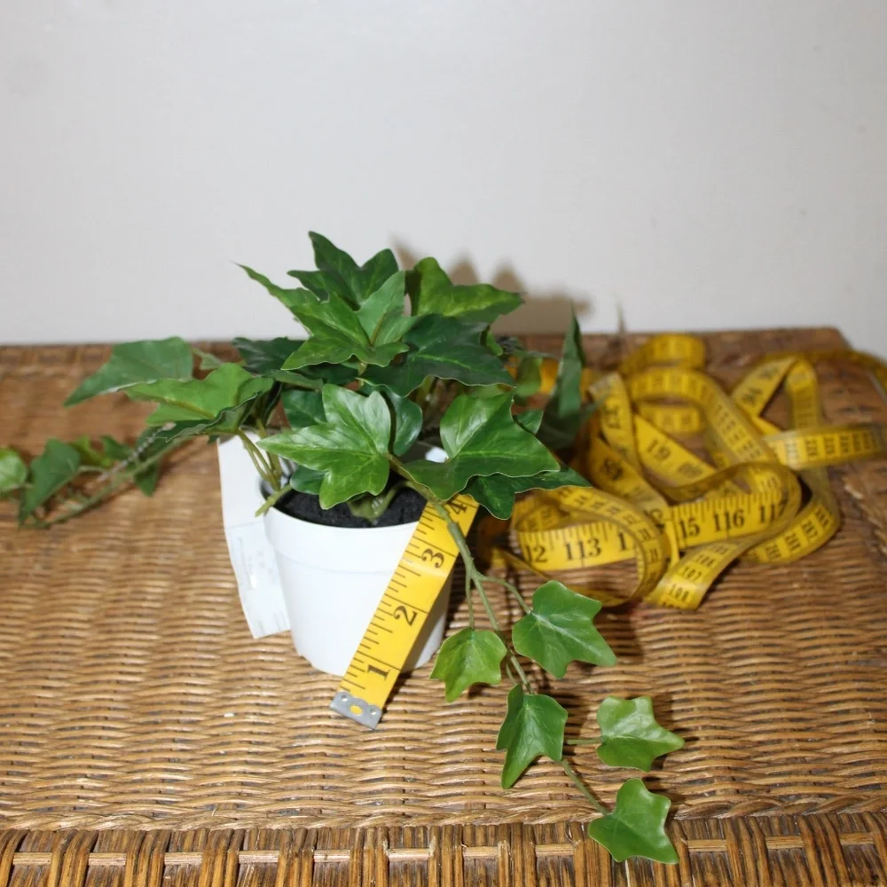 Williams Sonoma Artificial Potted Green Leaf.